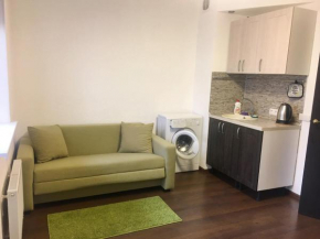 Appartment for life, Zvenigorod, Zvenigorod